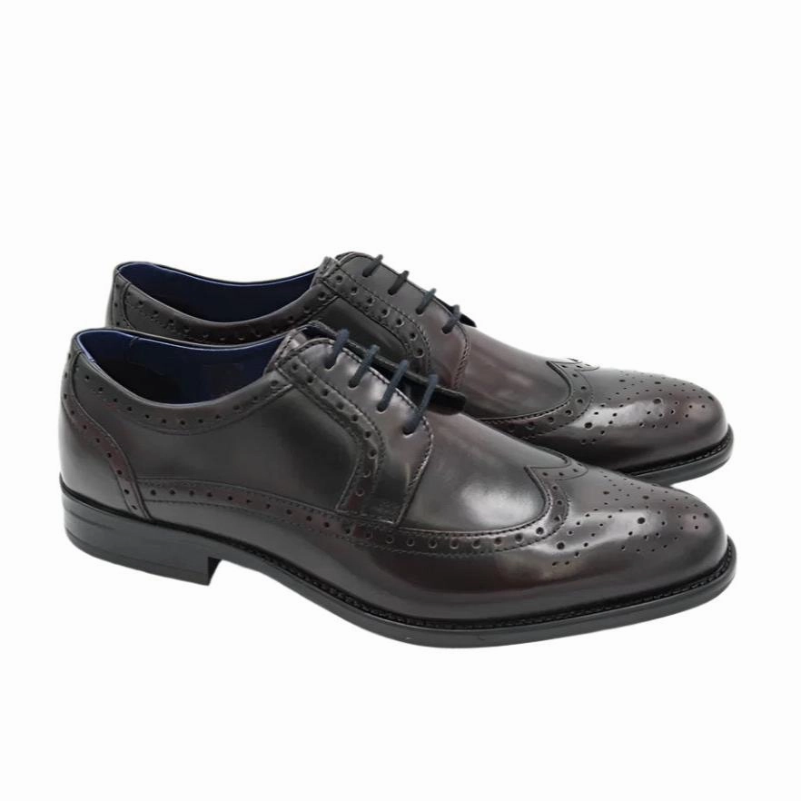 Dubarry Mens Shoe Dickson Burgundy Shoe Store Oxford