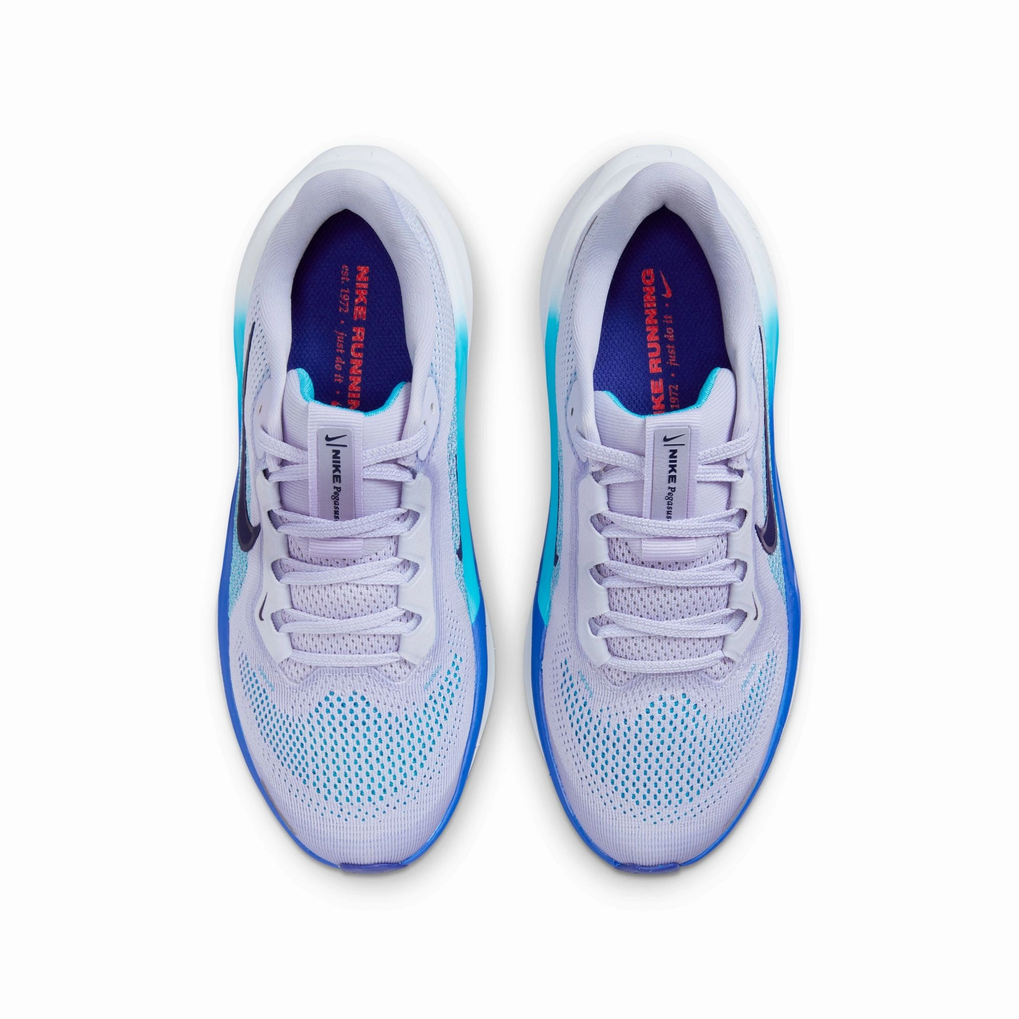 Kid's Air Zoom Pegasus 41 (004 - Ghost/Blue Void-Football Grey-Deep Night) Gts Running Shoes
