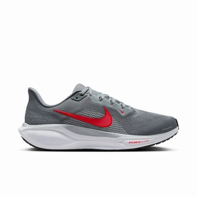 In Winter Best Walking Men's Nike Pegasus 41 - FD2722-013