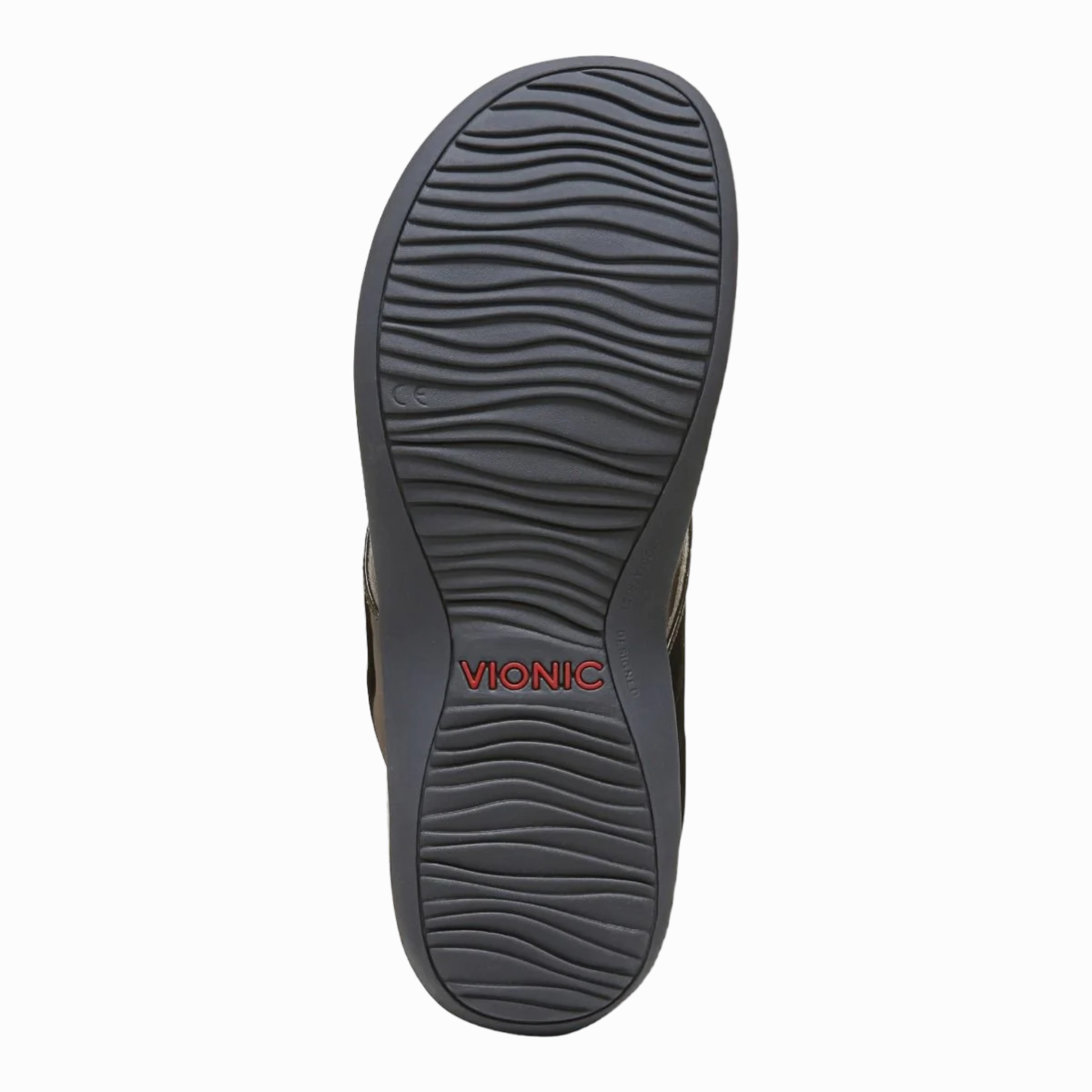 Flip Flop Slipper Dillon