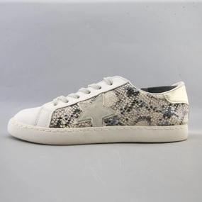 VINTAGE HAVANA . Mizuno Volleyball Shoes Momentum 3